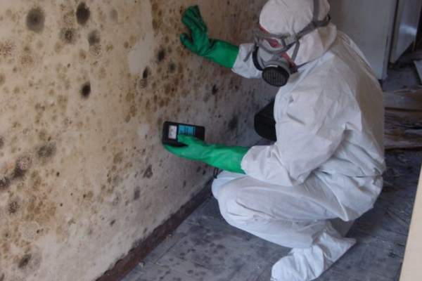 Mold Inspection Services